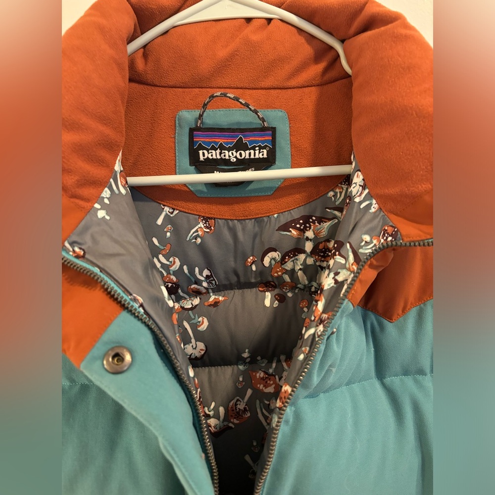 Patagonia Bivy Down Jacket with Mushroom Lining M